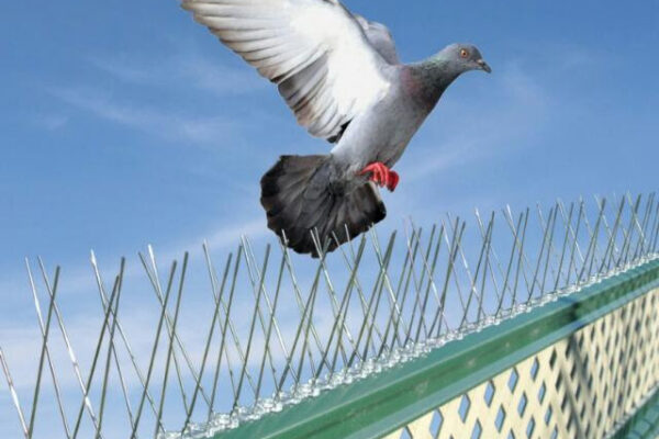 321aec1e-4529-432f-bed4-0b2ae534100a