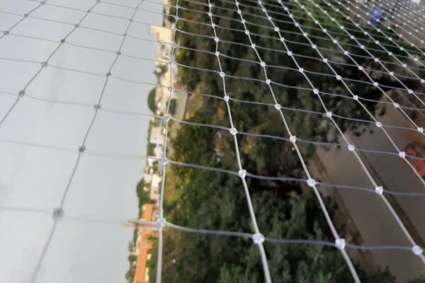 WhatsApp Image 2020-12-30 at 1.36.23 PM (1)