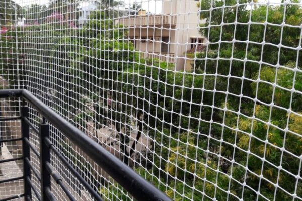 e1188488-8192-4436-a1b0-fd31248796a5-1024x576