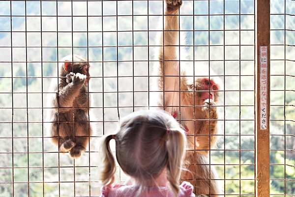 kyoto-kids-monkey-park-1